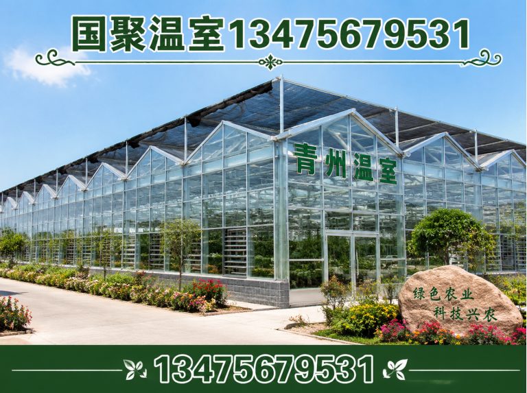 高密市玻璃温室展示图